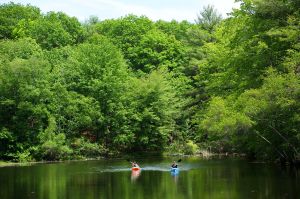 Kayaking at Paris River Park